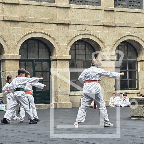 artes marciales